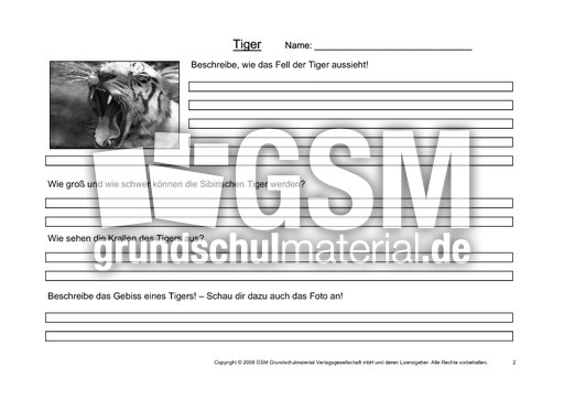 Tiger-Fragen-2.pdf